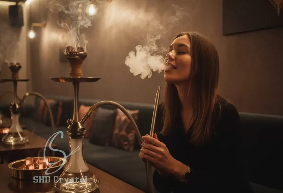 Junior Hookah Recommendations: The Complete Beginner’s Guide for Shisha Enthusiasts